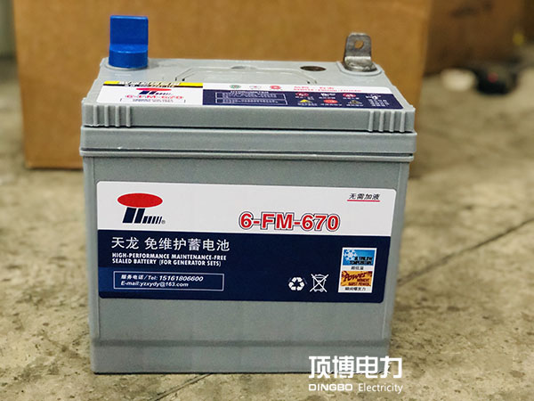 柴油发电机组蓄电池 柴油发电机组蓄电池